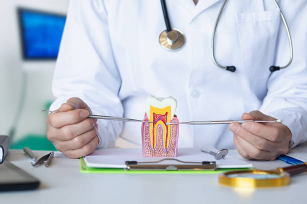 Best Pediatric Emergency Dentist in Bangor Base, WA